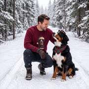 Bernese Mountain Dog Holiday Sweatshirt | Forest Green | Garnet